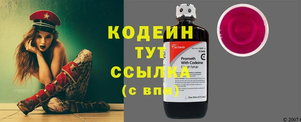 индика Бронницы