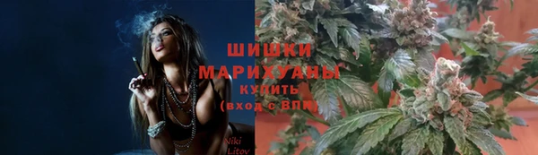 индика Бронницы