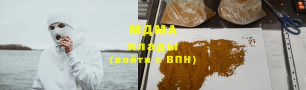 индика Бронницы