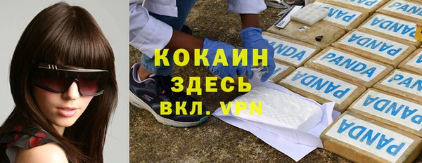 индика Бронницы